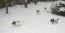Winterspass