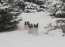 Winterspass