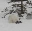 Winterspass