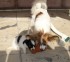 Playtime