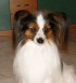 Ich? arrogant? P�H!!!