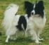 Bunte Berte 2 years