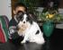 Donatello 1 yearr