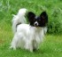 Fiona 1 years
