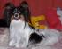 Cascarino 2 years