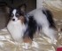 Eljano 3 years